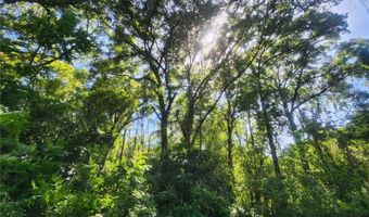 1985 NE 97TH STREED Rd, Anthony, FL 32617