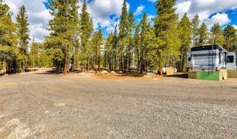 265 Placer Dr Lot 10, Alma, CO 80420