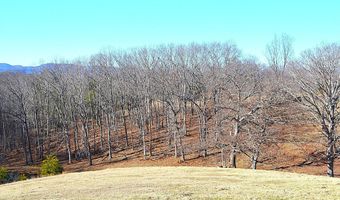5106 Pine Grove Rd, Ballard, WV 24918
