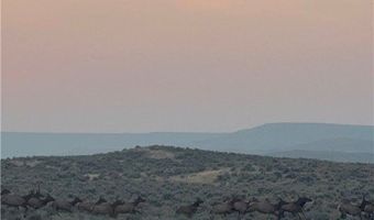 300 Acres N Dry Creek Rd, Bridger, MT 59014