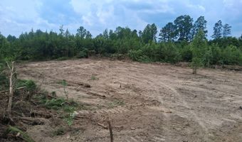Tract 2 Tucker Road, Bath Springs, TN 38311