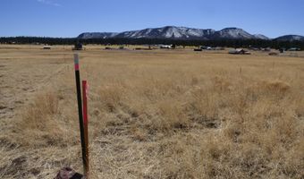 34 County Road 2100, Alpine, AZ 85920