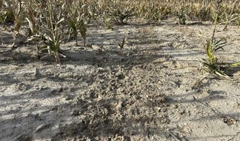 00000 CR 140, Alexander, KS 67513