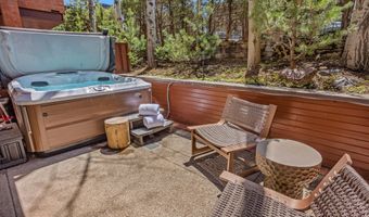708 E Hyman Ave, Aspen, CO 81611