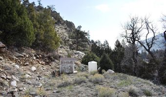 32370 Poudre Canyon Rd, Bellvue, CO 80512