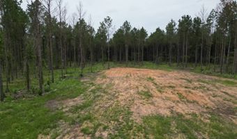 19 43 Big Rocks Rd, Antlers, OK 74523