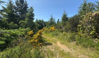 87503 UPPER FOURMILE Ln, Bandon, OR 97411