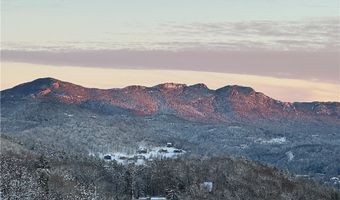 311 Penny Lane 2D, Banner Elk, NC 28604