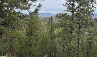Mockingbird Trail, Bailey, CO 80421