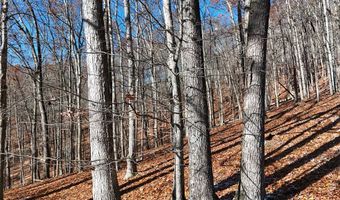 Nebo Mountain Rd. lot Multiple, Atkins, VA 24311