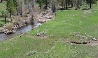 Roney Flat Road, Adin, CA 96006