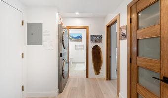 910 W Hallam St 9, Aspen, CO 81611
