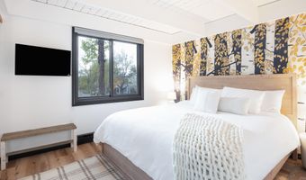 901 E Hyman Ave 4, Aspen, CO 81611