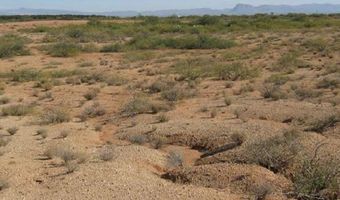 13 Ac Apache Pass Rd, Bowie, AZ 85605