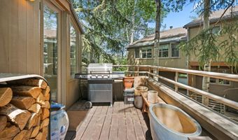 100 N Eigth St 24, Aspen, CO 81611