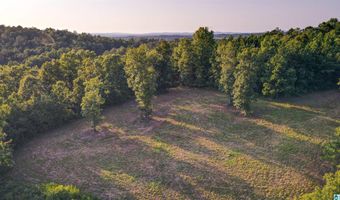 200 TABLEE LANE Lot 17.65, Ashland, AL 36251