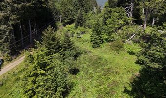 20452 Whaleshead Rd, Brookings, OR 97415