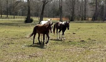 350 Flatwood Farm Rd, Abbeville, SC 29620