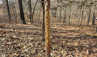 Rr 1 Box 6548, Ava, MO 65608