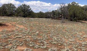 00 Off Of Rainy Rd, Ash Fork, AZ 86320