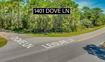1401 Dove Ln, St. George Island, FL 32328