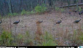 411 DR JENKINS Ln, Altoona, AL 35952