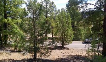 2805 N Dead Horse Lp, Alton, UT 84710