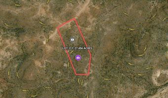 TR 111 Sierra La Rana, Alpine, TX 79830