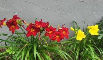 1019 Ash St, Alexandria, MN 56308