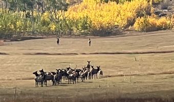 14884 Rist Canyon Rd, Bellvue, CO 80512