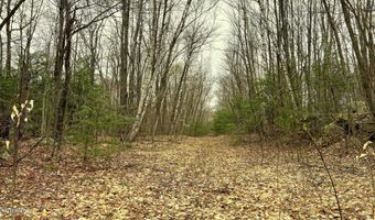 Skyline Ridge Rd lot 19, Becket, MA 01223
