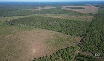 25001 Highway 112, Bay Minette, AL 36507