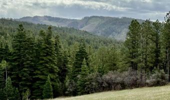 15098 CR 240, Bayfield, CO 81122