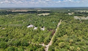SW Nassau Ave, Arcadia, FL 34266