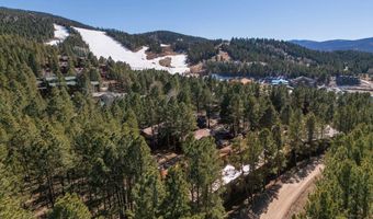 26 Jackson Hole Rd 4, Angel Fire, NM 87710