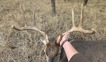 6525 US 180, Anson, TX 79501