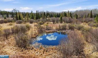 Hwy 25, Angora, MN 55703