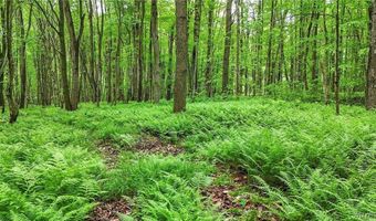 8560 Old State Rd, Alden, NY 14709