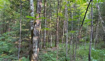 County Road Y, Aniwa, WI 54408