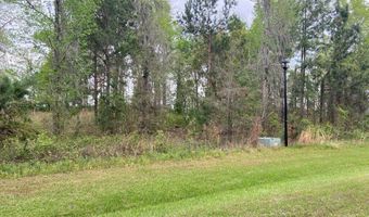 N/A Blue Springs, Bainbridge, GA 39819