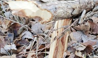 4775 S 50th Rd, Aldrich, MO 65601