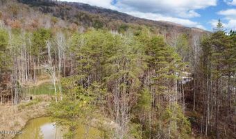 1693 Steve Brown Rd, Bean Station, TN 37708