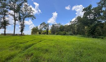 0 CR-215, Ariton, AL 36311
