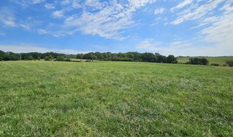 25 Acres State Highway F, Anderson, MO 64831