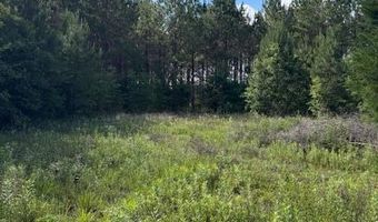 570 Bethany Church Rd, Bainbridge, GA 39817