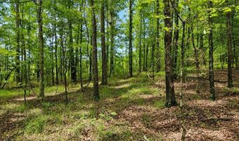 144 Hwy 341 S, Barnesville, GA 30204