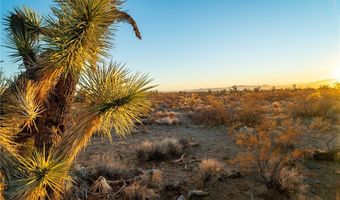 2641 S Javelina Rd, Yucca, AZ 86438