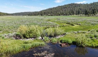 Mile Post 12 Fish Hole Creek, Bly, OR 97622