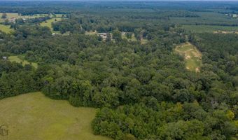 Tbd 371 Highway, Coushatta, LA 71019