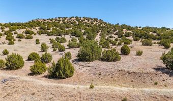 Cedar Grove Rd, Beulah, CO 81023